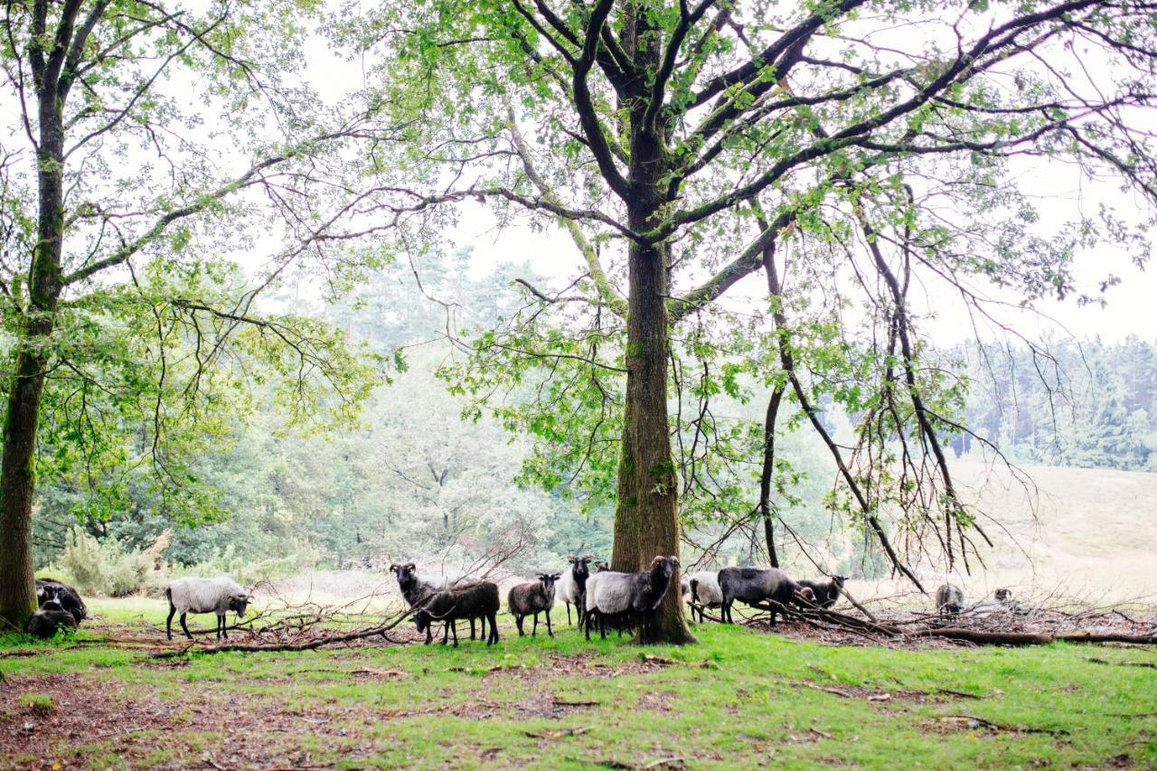 Waldhaus Emma Villa Suderburg Dış mekan fotoğraf